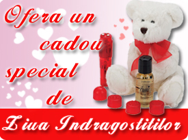 Cadou 14 februarie