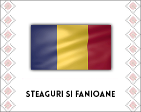 Steaguri si fanioane